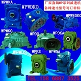 WPA/WPS/WPO/WPX40 50 60 70 80100 Железная оболочка WP Snail Cnoring Merragier Speculator