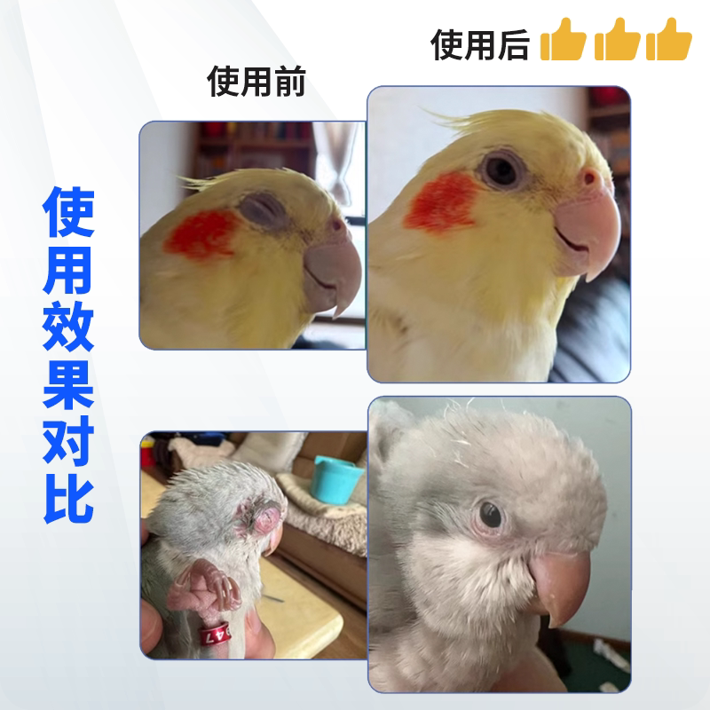 Parrot Eye Drops for Eye Discharge, Redness, Discomfort, and Tearing, Commonly Used for Lovebirds, Budgerigars, and Cockatiels