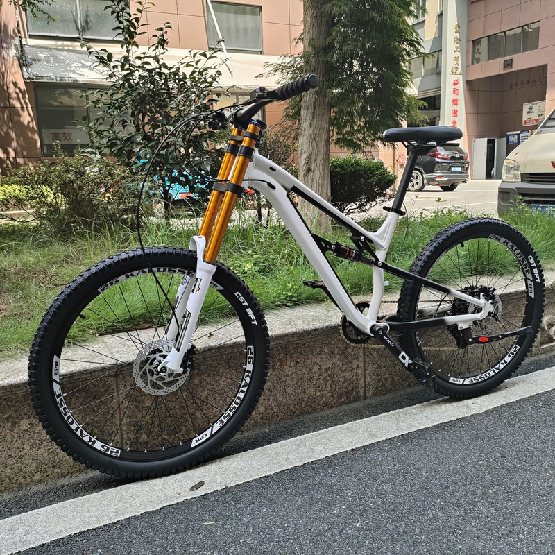 120mm Dual-Suspension Mountain Bike with Oil Disc Brakes, 26/29 Inch Aluminum Alloy Soft-Tail Bicycle, 11-Speed 120mm Dual-Suspension Mountain Bike with Oil Disc Brakes, 26/29 Inch Aluminum Alloy Soft-Tail Bicycle, 11-Speed