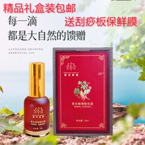 Official spray type essence plant essential oil morning flower spring dew all over the body massage herbage Soothing Skin Scraping oil