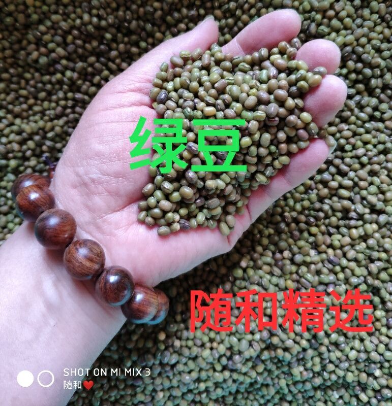 (Entourage and selected) Green Bean Mat Powder 200 gr