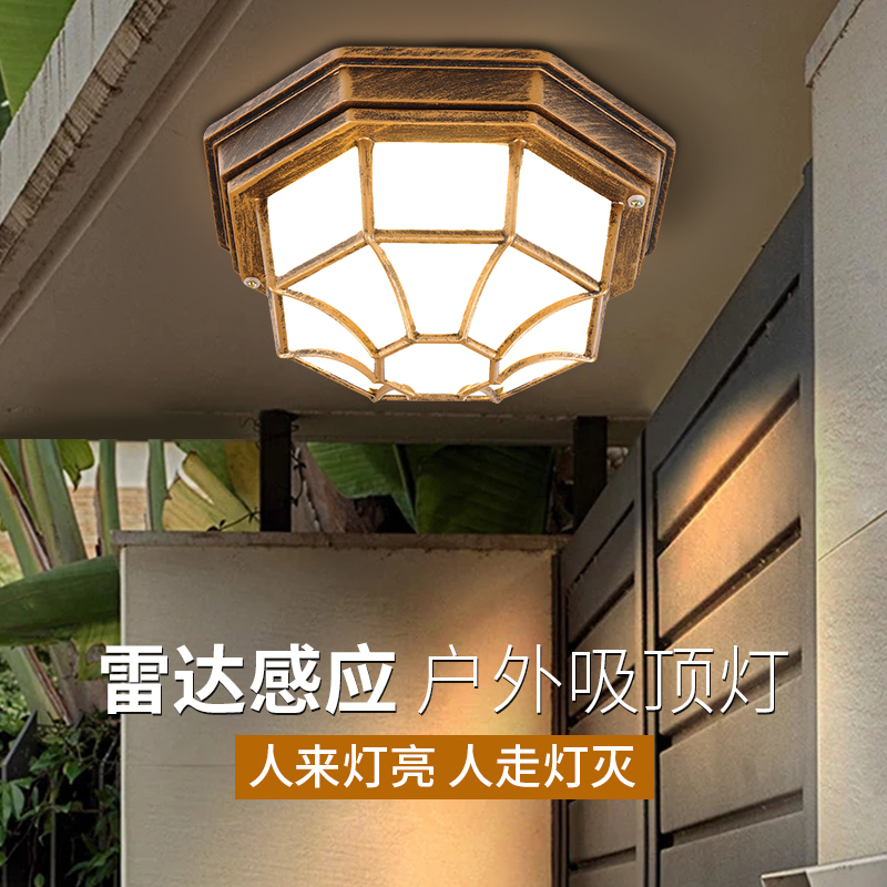 Outdoor Ceiling Light Waterproof for Exterior Corridors, Stairs, Garages, Villa Entrance, Courtyard, Eaves with Motion Sensor