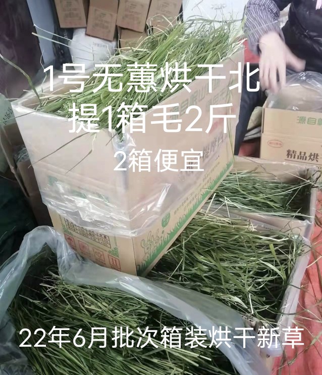 Rabbit Grass Shop 22 Years New Grass Dried Beiti Spot Carton Timothy Grass Rabbit Chinchilla Guinea Pig Gross Weight 2 catties