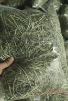 Rabbit grass grass grass stubble dry North Titimoxi rabbit dragon guinea pig bag