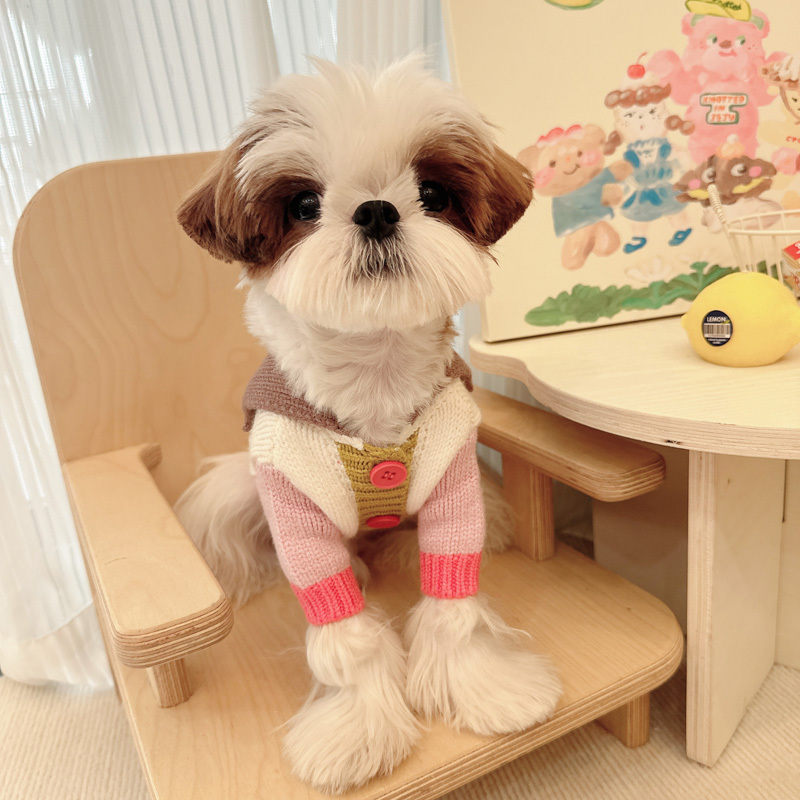 Puppy Polo Sweater Winter Maltese Shih Tzu Bichon Small Dog Winter Teddy Clothes Warm Winter Style