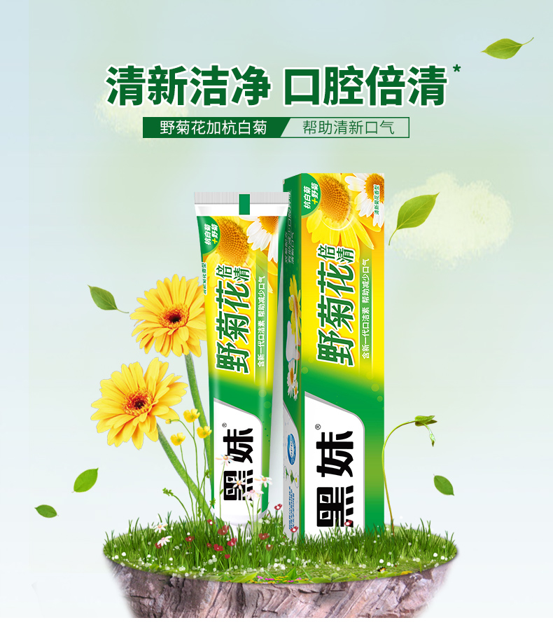 黑妹 野菊花牙膏160g*2支 图1