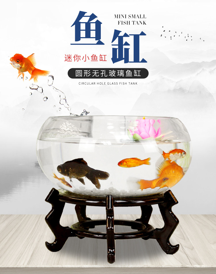 h2uXjfulzdRUjNJxf9q+kE+gm1+x9lpcegtt