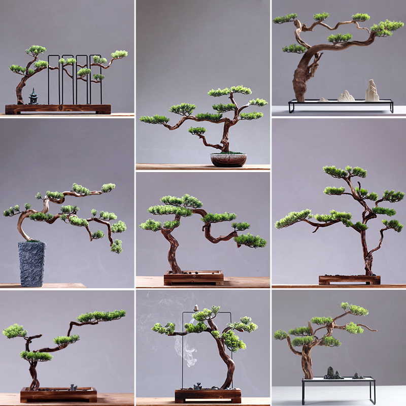 New Chinese style welcome pine ornaments Plant bonsai dry landscape Living room entrance soft decorations Display counter Zen wood