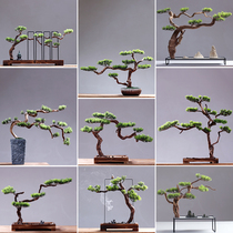 New Chinese style welcome pine ornaments Plant bonsai dry landscape Living room entrance soft decorations Display counter Zen wood