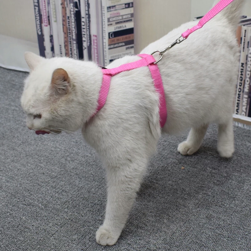 Cat rope traction rope Anti-off-home Cat Rope Item Ring Out of the Cat Work cat Words Big Numbers Cuddling Bag Kitty Special