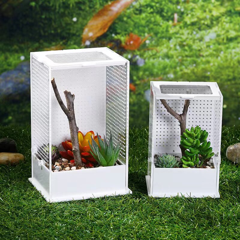 Big Bing Ecobox Cage Boutique Large Mantis Creeding Songworm Breeding Box