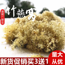 Sichuan Yibin Bamboo Sea Specialty Fresh Bamboo Birds Nest Bamboo Flower Bamboo Mushroom Wild Hotel Catering High-end Vegetarian Ingredients 500g