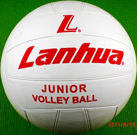 Ballon de volley-ball - Ref 2011754 Image 4