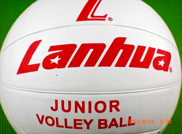 Ballon de volley-ball - Ref 2011754 Image 5