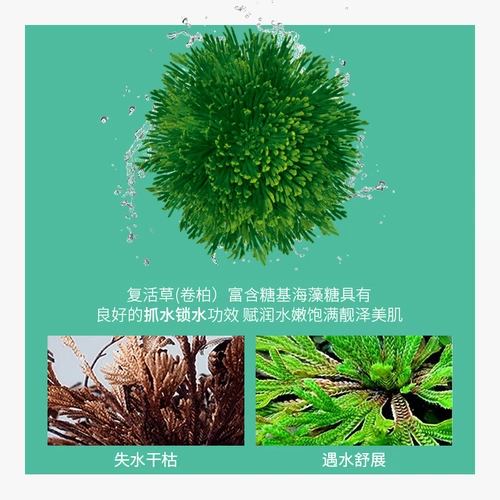 欣雅妆 Ночная увлажняющая восстанавливающая маска для лица подходит для мужчин и женщин, легкое нанесение