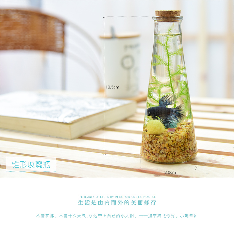 喜艾迷你创意生态瓶微景观泰国斗鱼缸玻璃小草