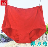 Fu Nilai lớn màu đỏ cộng với chất béo cotton cao eo của phụ nữ năm nay XL kẻ sọc quần cotton eo 2884 quần lót nữ sinh