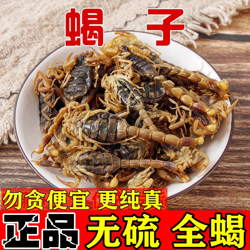 Chinese herbal medicine Whole scorpion dried scorpion dried water scorpion Dried scorpion dried scorpion dried scorpion dried scorpion dried scorpion dried scorpion dried scorpion dried scorpion dried scorpion dried scorpion dried scorpion dried scorpion dried scorpion dried scorpion dried scorpion