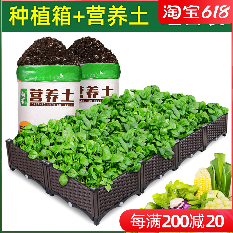 Planting box with home-grown vegetable Divine Instrumental Family Balcony Special Planting Box Building Top Seed Vegetable Square Flower Pot Plastic