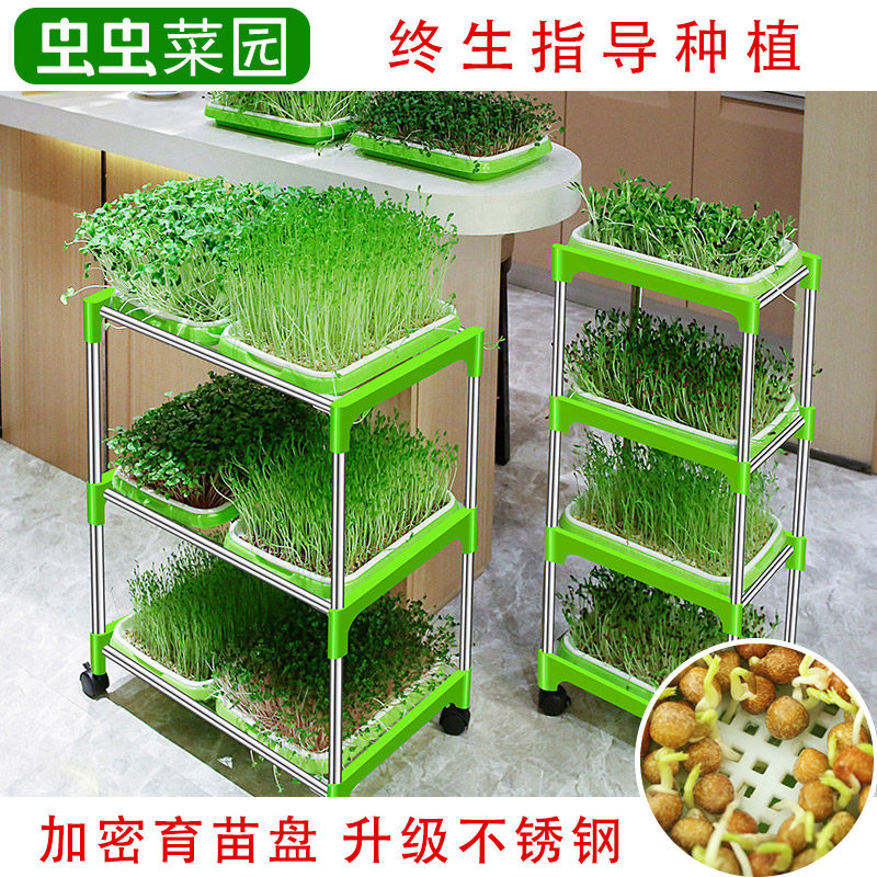 Bean sprouts seedling tray Sprouts Pea seedling planting tray Basin rack Wheat seeds soilless cultivation hydroponic vegetable artifact