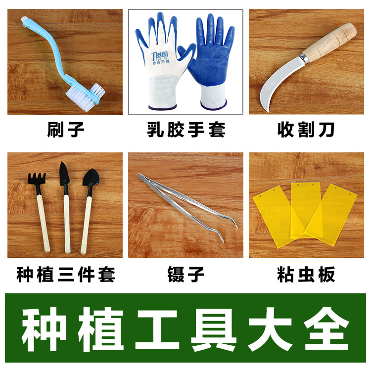 Gardening Gloves Tool Suit Plastic Shovels Rake Rake Seed Rape Seed Flower Appliance Harvesting Knife Sticky Insect plate digging earth