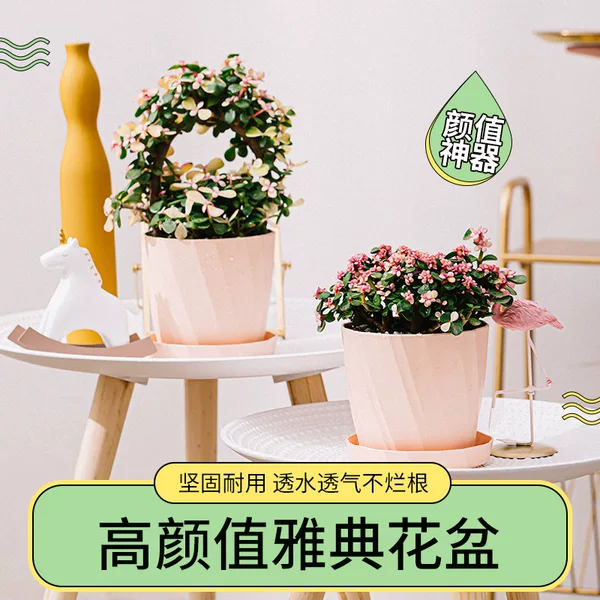 Товары от 毛毛虫童装铺子