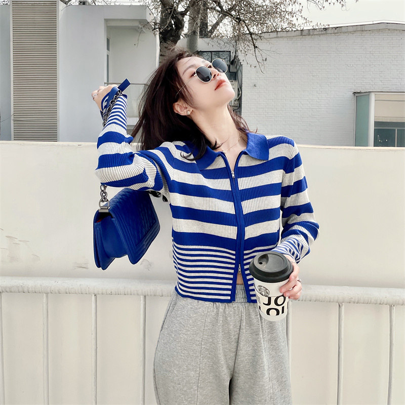 Leaves (striped POLO shirt) knitting zipper early autumn sweater short - sleeved sweater long - sleeved coat