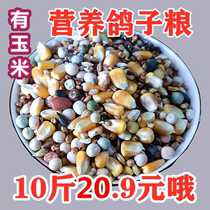 10 catties of pigeon grain with corn pigeon grain flying nutrition feed bird food ornamental pigeons pigeons pigeons daily food