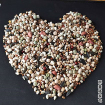 Self-matching pigeon grain generation with pigeon grain bird food nutrition pigeon grain young pigeon grain new grain removal feed