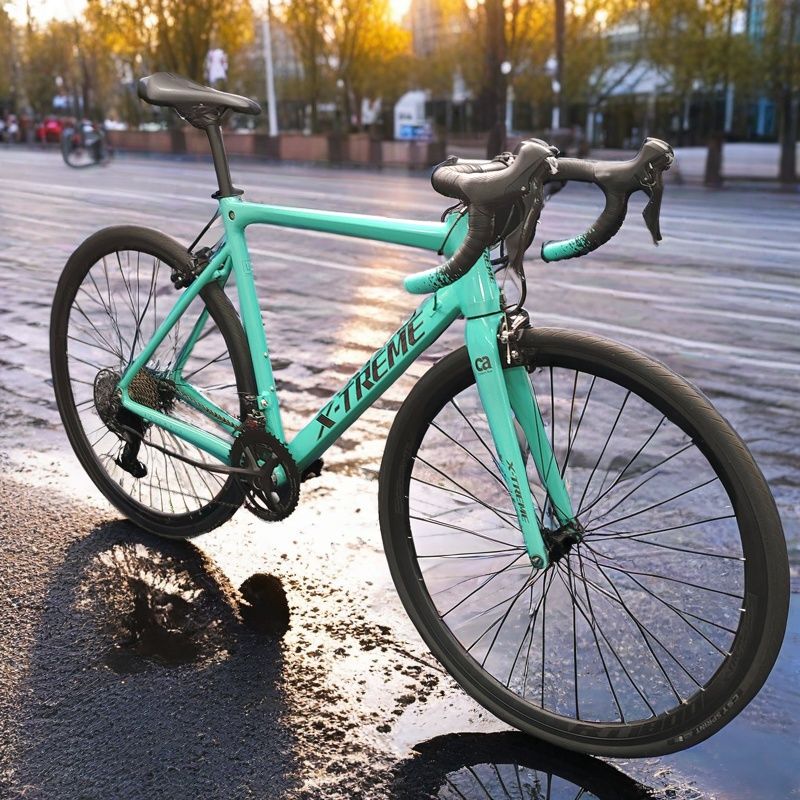 Meihanda Sailor C700 Disc Brake Road Bike Carbon Fiber Front Fork 22-Speed Shimano R7000 Groupset