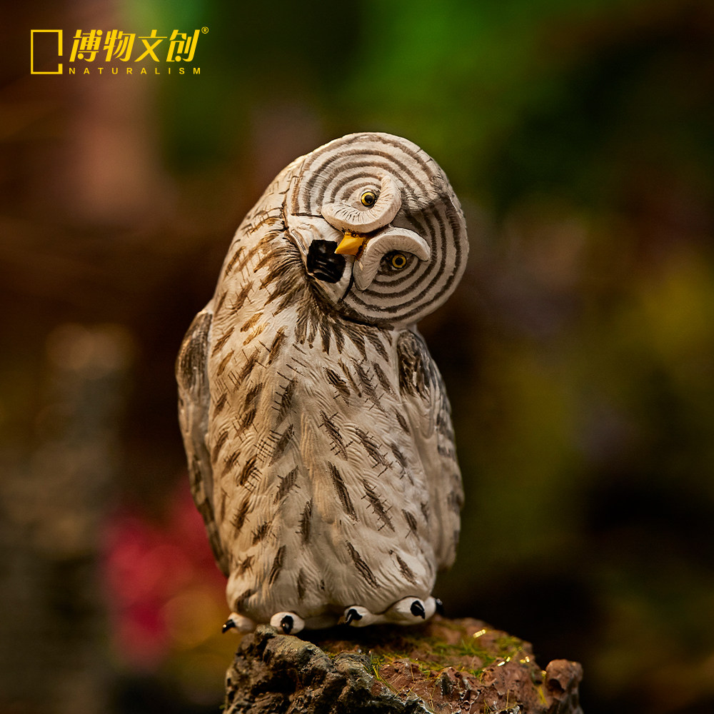 Museum Creation Natural crooked owls Ulin - tail model handheld piece animal realistic science