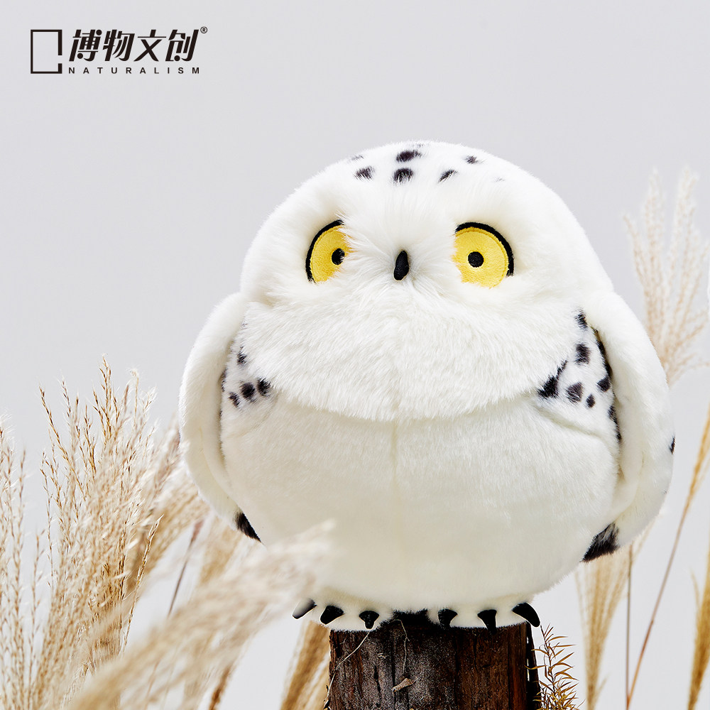 🔥 这只小猫头鹰在逃跑🔥 : r/NatureIsFuckingLit, image size:1000x1000