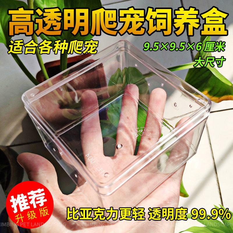 Climbing pet reptile spider scorpion snail silkworm baby dinosaur skull high transparent plastic breeding box breeding box landscaping