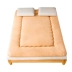 Dày ấm cashmere nệm nệm tấm pad con người ký túc xá 1,2m giường m 1.5m1.8 mùa đông - Nệm nệm hơi Nệm