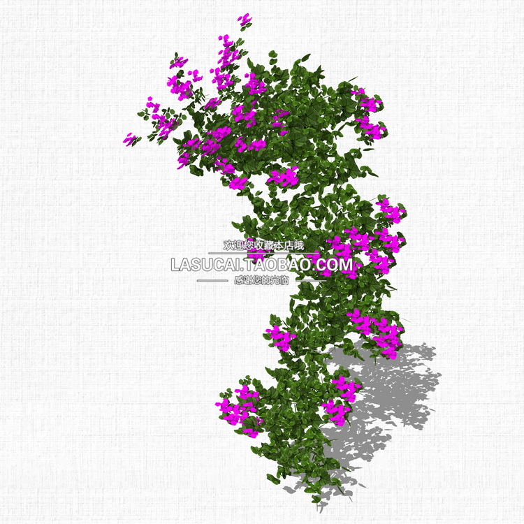 T212藤本绿植植物SU模型爬藤藤蔓攀爬植物垂吊绿墙sketchup组...-7