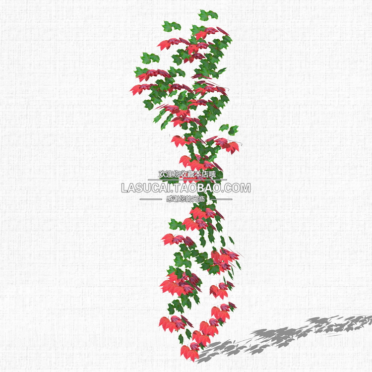 T212藤本绿植植物SU模型爬藤藤蔓攀爬植物垂吊绿墙sketchup组...-20