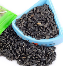 Natural pure raw small oil sunflower black pearl melon seed hamster golden silk bear snack main grain 100G