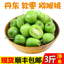 1 catty Shunfeng Dandong specialty Northeast round dates Kiwi berries Soft dates Kiwi Wild Kiwi
