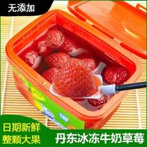 3 Cans Rhyme Dandong Strawberry Canned Ice Strawberry Milk 99 Frozen Strawberry Fresh Frozen