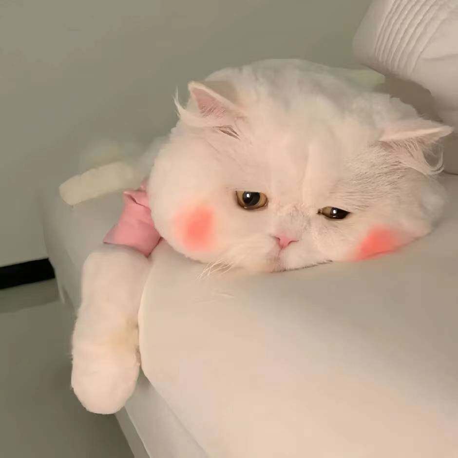 一见倾心生活馆