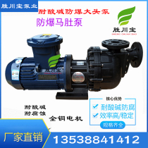 Explosion-proof self-priming pump PP horizontal large head pump electric Plastic sewage pump acid and alkali resistant anti-corrosion horse belly pump