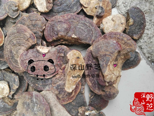 Wild Sessile Red Chi Red Ganoderma Lucidum 500g Bulk Pure wild free sliced flour