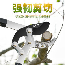 Fruit tree pruning branches Strong pruning shears Thick branch shears Strong shears Flower shears Large labor-saving gardening tools Garden scissors