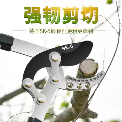 Fruit tree pruning branches strong pruning shears strong shear flower scissors big labor saving gardening tools garden scissors
