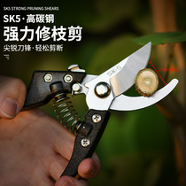 Pruning scissors Garden scissors Pruning branches Fruit tree scissors Gardening scissors Flower scissors Labor-saving plant scissors Thick branch scissors