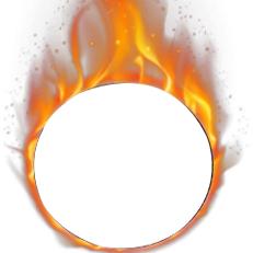 三生菲纹的LOGO