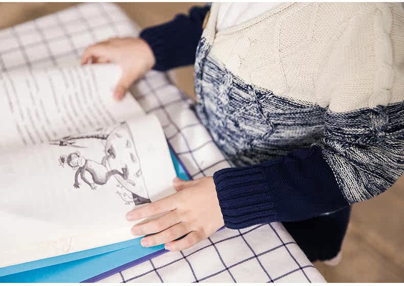 Pull garcon INMAN - Ref 2101882 Image 18