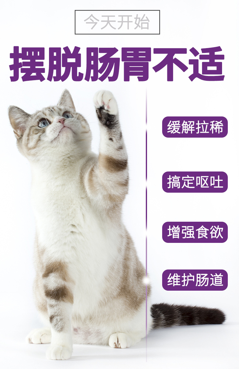 Gudeng Pet Cat Tiêu hóa Po Cat Điều hòa tiêu chảy Tiêu hóa Nôn mửa Đan Mạch Nhập khẩu Probiotic 5g * 5 túi - Cat / Dog Health bổ sung 	sữa cho mèo mới sinh