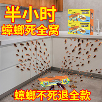 Cockroach house strong paste board cockroach medicine household non-toxic one nest full nest end cockroach artifact capture magic box