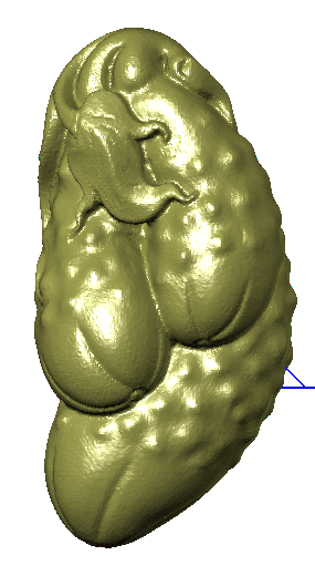 Jade carving map scan map stl fine carving map cucumber 1024